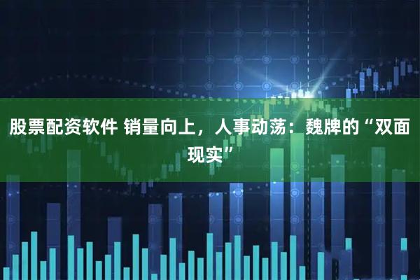 股票配资软件 销量向上，人事动荡：魏牌的“双面现实”