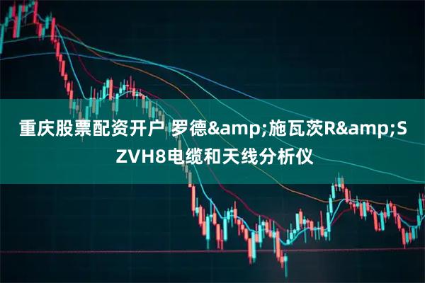 重庆股票配资开户 罗德&施瓦茨R&S ZVH8电缆和天线分析仪