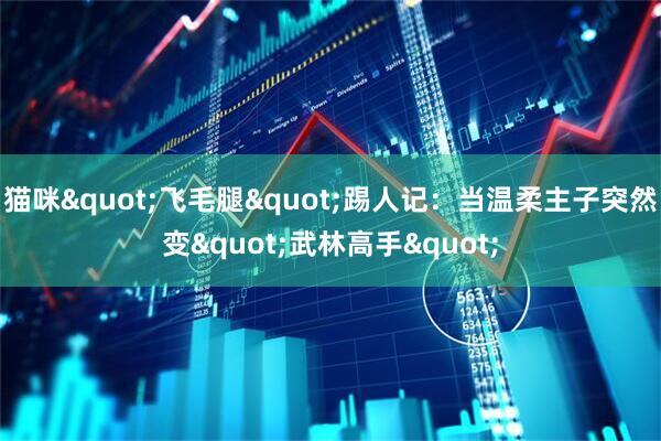 猫咪"飞毛腿"踢人记：当温柔主子突然变"武林高手"