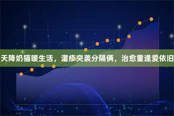 天降奶猫暖生活，湿疹突袭分隔俩，治愈重逢爱依旧