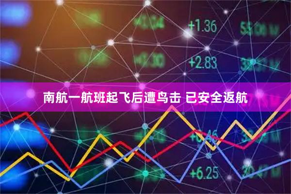 南航一航班起飞后遭鸟击 已安全返航