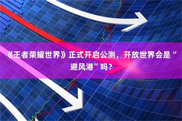 《王者荣耀世界》正式开启公测，开放世界会是“避风港”吗？