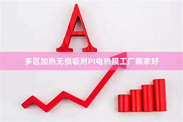 多区加热无损吸附PI电热膜工厂哪家好