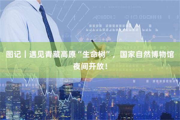 图记｜遇见青藏高原“生命树”，国家自然博物馆夜间开放！