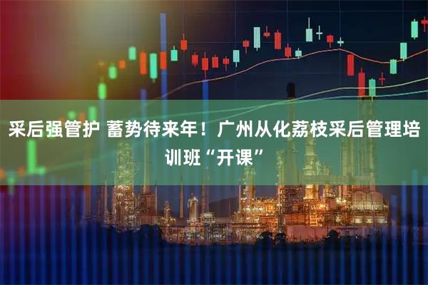 采后强管护 蓄势待来年！广州从化荔枝采后管理培训班“开课”